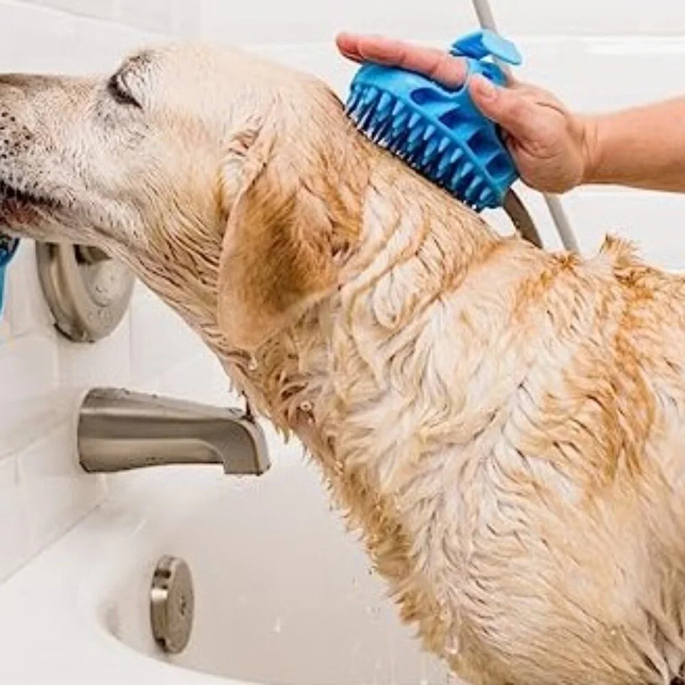 Dog Shampoo - Regular Male or Female Shampoo and Conditioner
